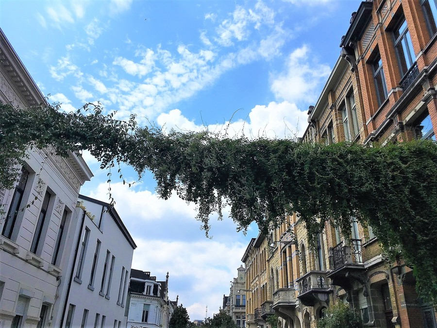 Groenslinger in straat